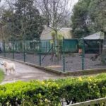 VÍDEO: Los visitantes celebran las mejoras previstas en el parque Isabel la Católica de Gijón