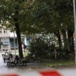 La derecha muestra su «preocupación» tras la reyerta de Las Meanas y el gobierno local defiende que Avilés «es una ciudad segura»