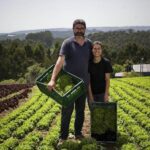 La tierra de Carreño en la que Silveiro y Gisele plantan 17.000 lechugas a la semana