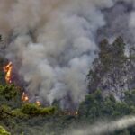 Asturies aprueba la so nueva estratexa pa lluchar contra los incendios: más prevención y refuerzu de la vixilancia