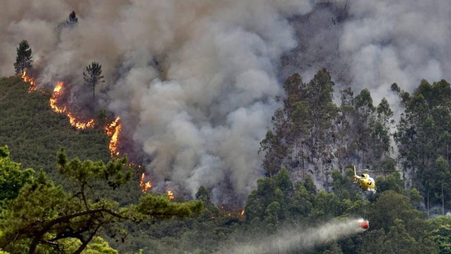 Asturies aprueba la so nueva estratexa pa lluchar contra los incendios: más prevención y refuerzu de la vixilancia