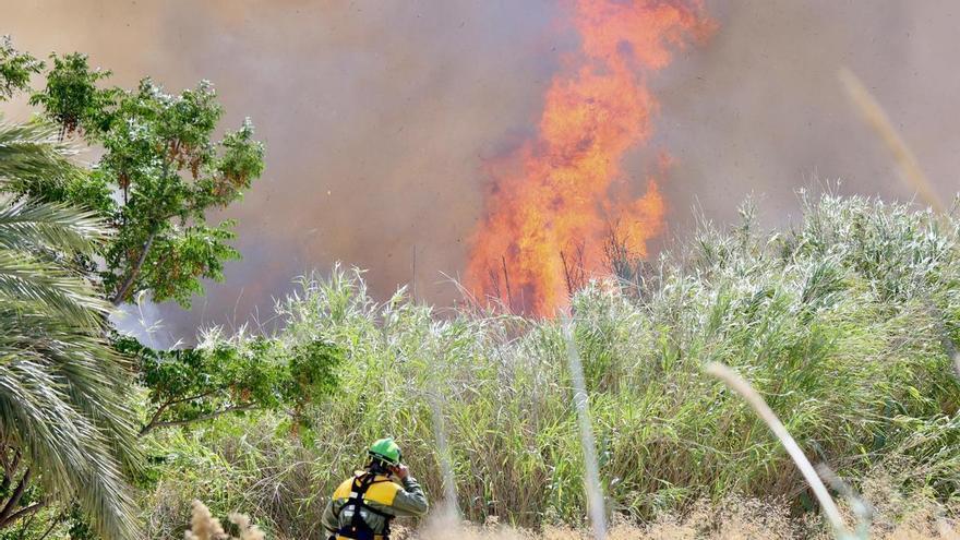 Bomberos luchan contra las llamas en el pavoroso incendio de la mota del río de Murcia