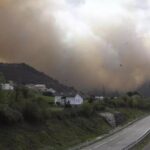 El guiño de los farmacéuticos a la reforestación de Valdés: con motivo de su encuentro nacional harán una plantación de pino autóctono en el concejo