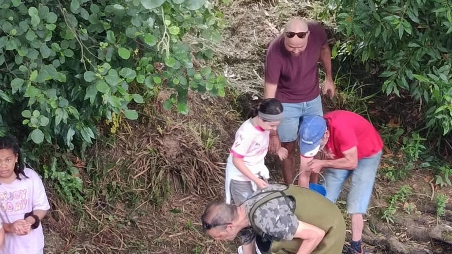 Los pescadores de Amigos del Nalón repueblan con seis mil alevines de trucha el río Nora a su paso por Noreña