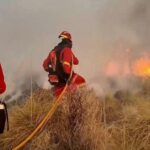 Por qué el incendio de Los Gallardos se ha extendido tan rápido: viento, calor y un terreno escarpado